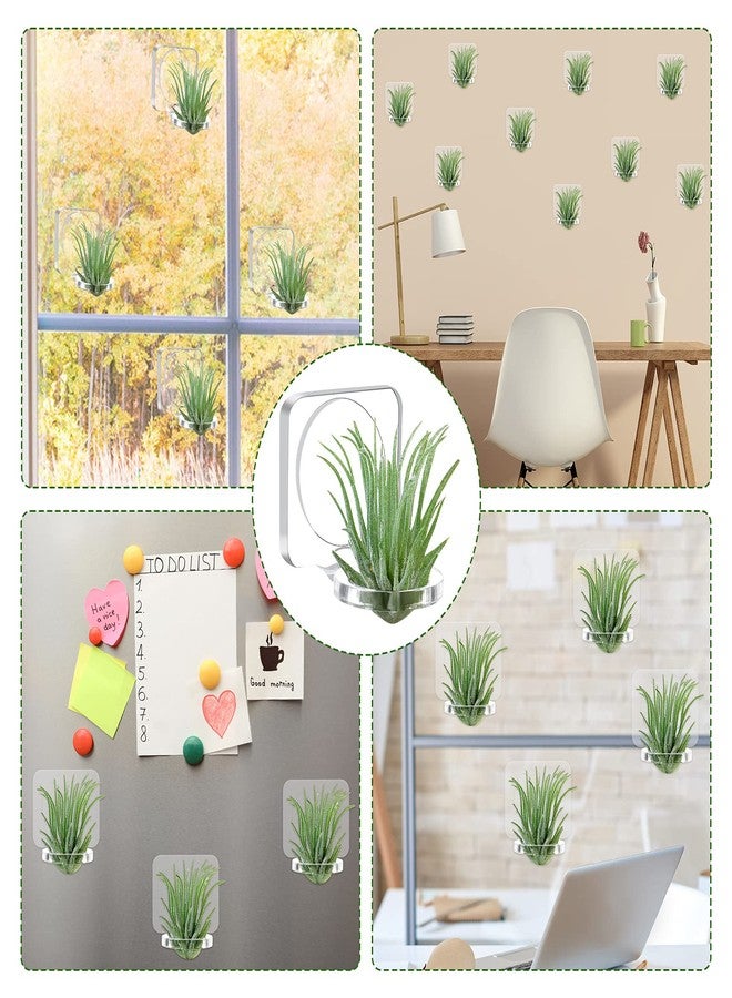 Jetec 12 Pcs Acrylic Air Plants Holder Hanger with Mounting Tape for Hanging Air Plants on Glass Display Home Decoration - Image 5